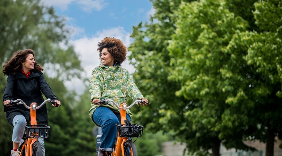 Ant64 Photo Credits Permission Nathalie Goovaerts Lantis (Valid Until 06 2026) (1)