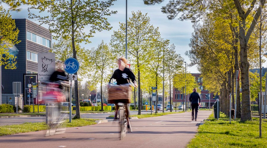 Fietspad Zaltbommel 1167